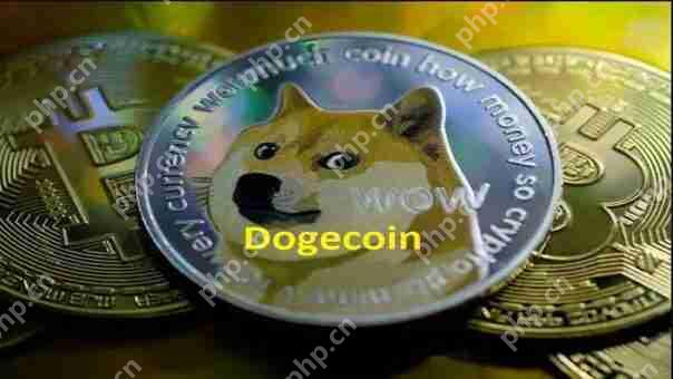 今天的Dogecoin（Doge）价格 - 获取实时Doge/pkr＆Doge/USD报价